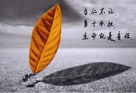 &#20248;&#20048;&#22253;